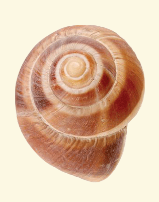 servicios y relaciones